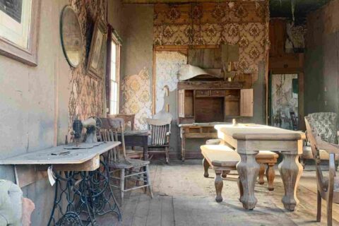 Untitled design (29) (1)