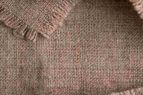 Untitled design (29) (1)